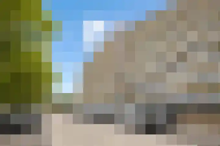 Pharus 292 Zaandam thumbnail 35