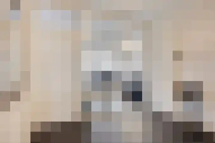 Pharus 302 Zaandam thumbnail 10