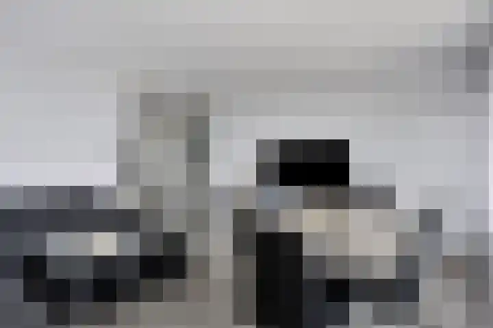 Pharus 302 Zaandam thumbnail 13