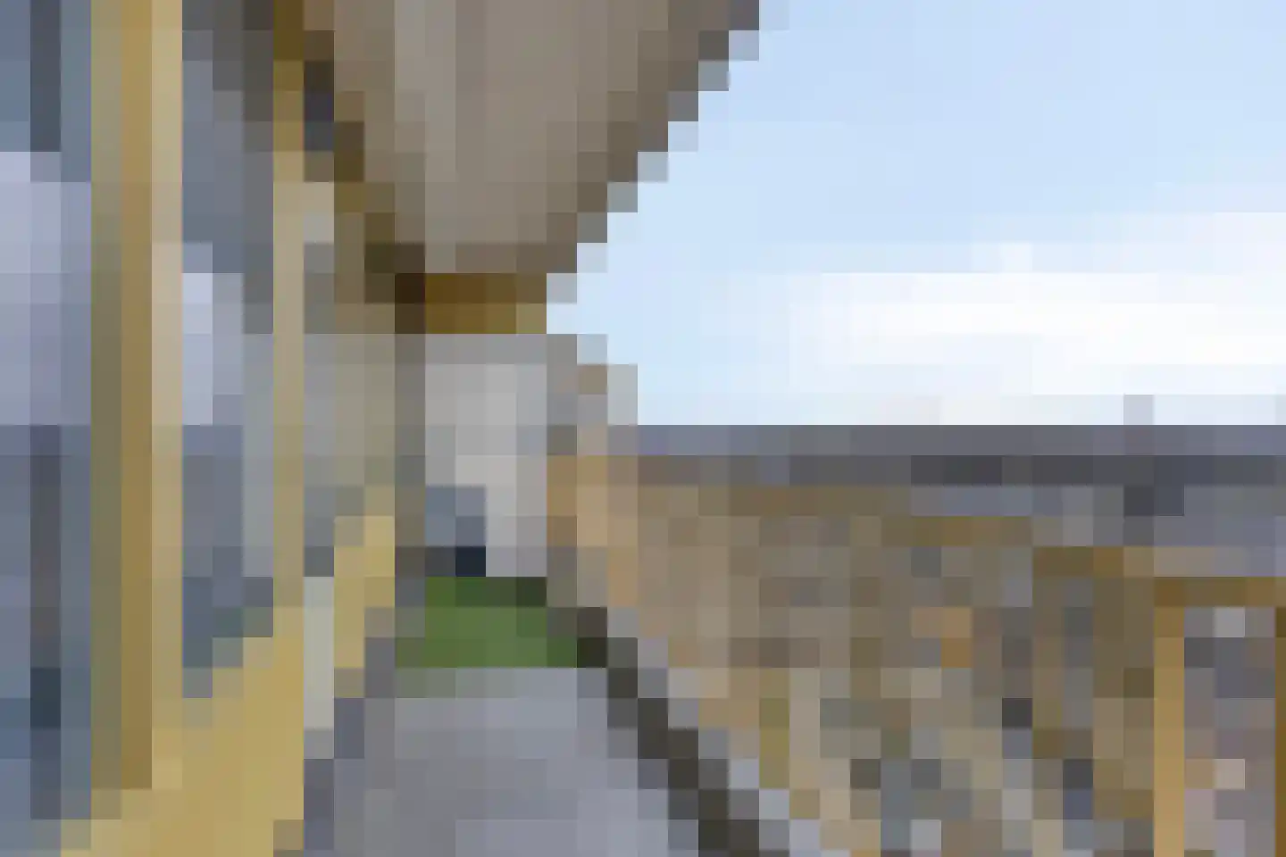 Pharus 302 Zaandam thumbnail 15