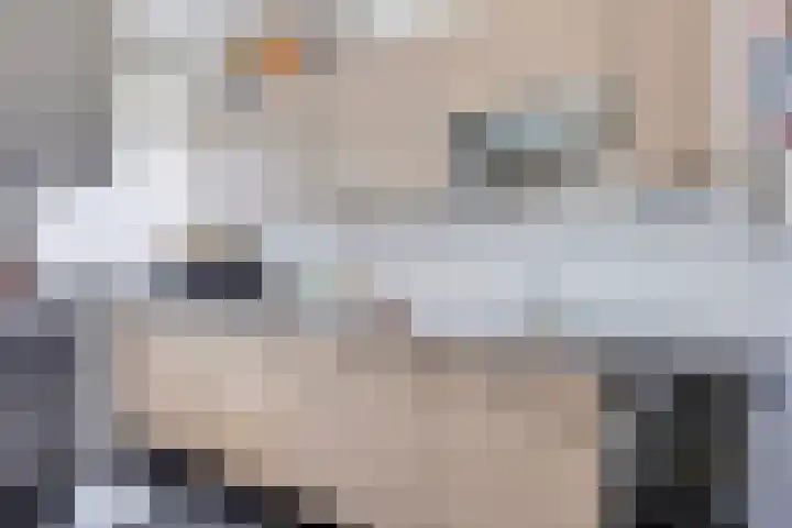 Pharus 302 Zaandam thumbnail 18