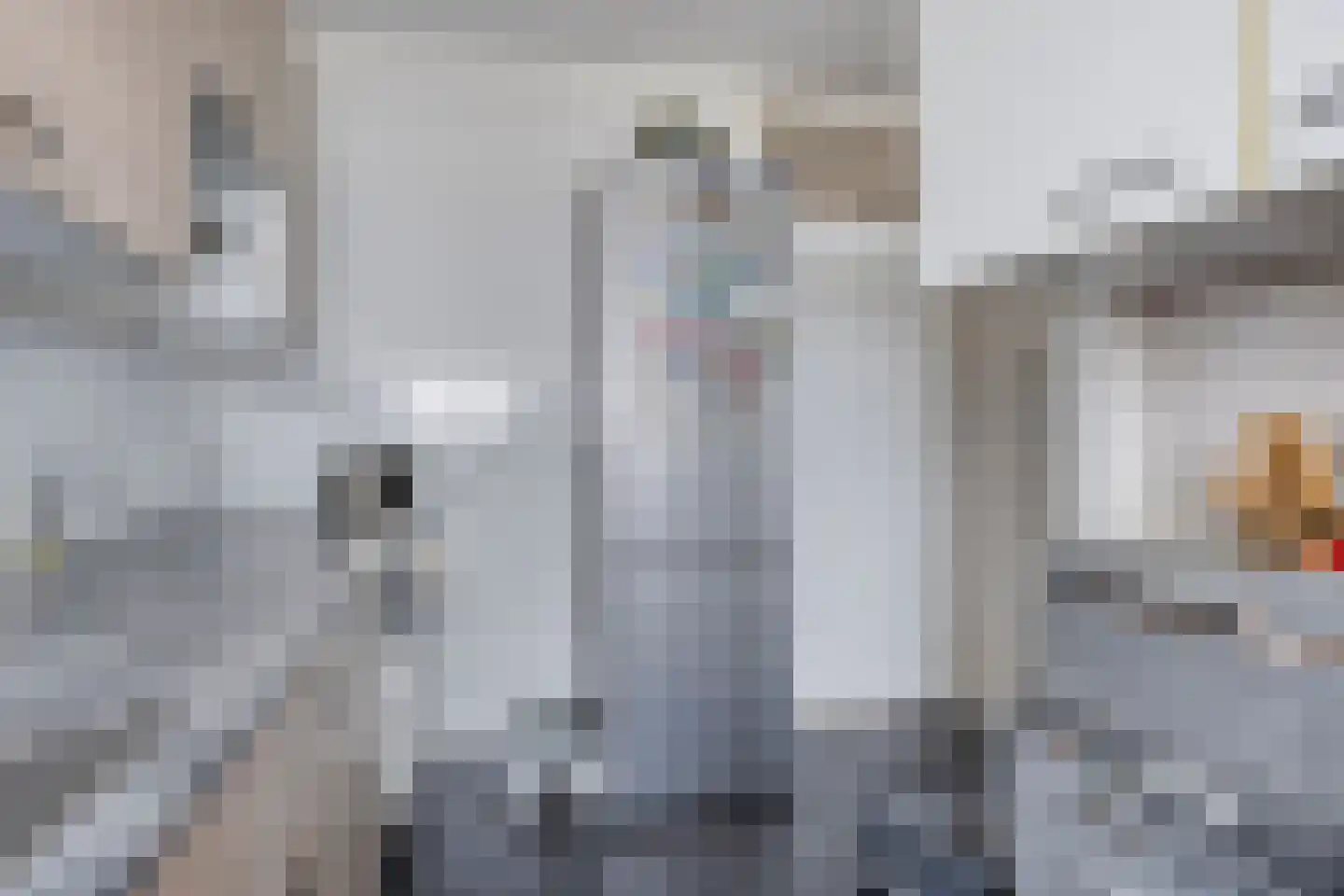 Pharus 302 Zaandam thumbnail 19