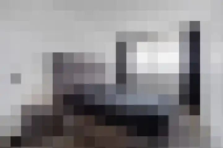 Pharus 302 Zaandam thumbnail 21
