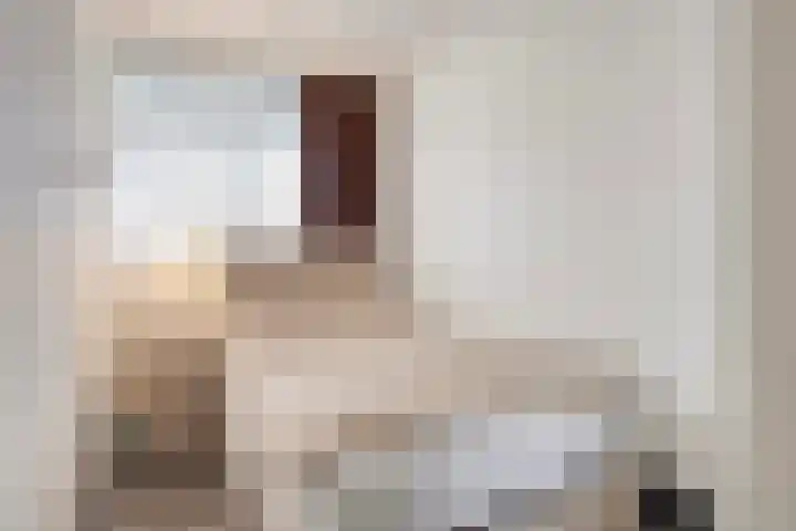 Pharus 302 Zaandam thumbnail 26