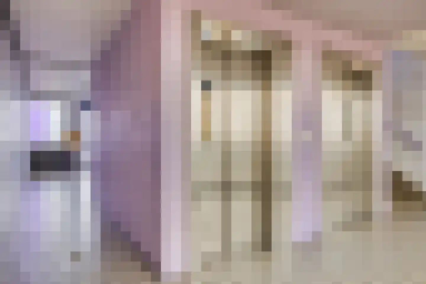 Pharus 302 Zaandam thumbnail 27