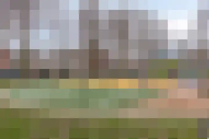 Pharus 302 Zaandam thumbnail 29