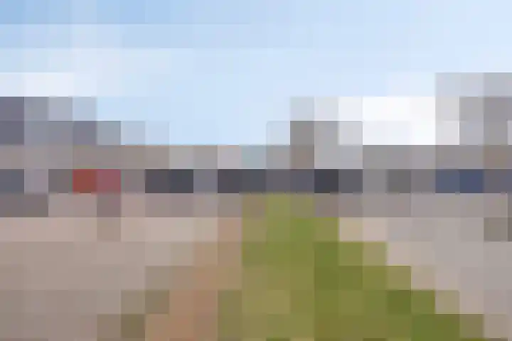 Pharus 302 Zaandam thumbnail 30