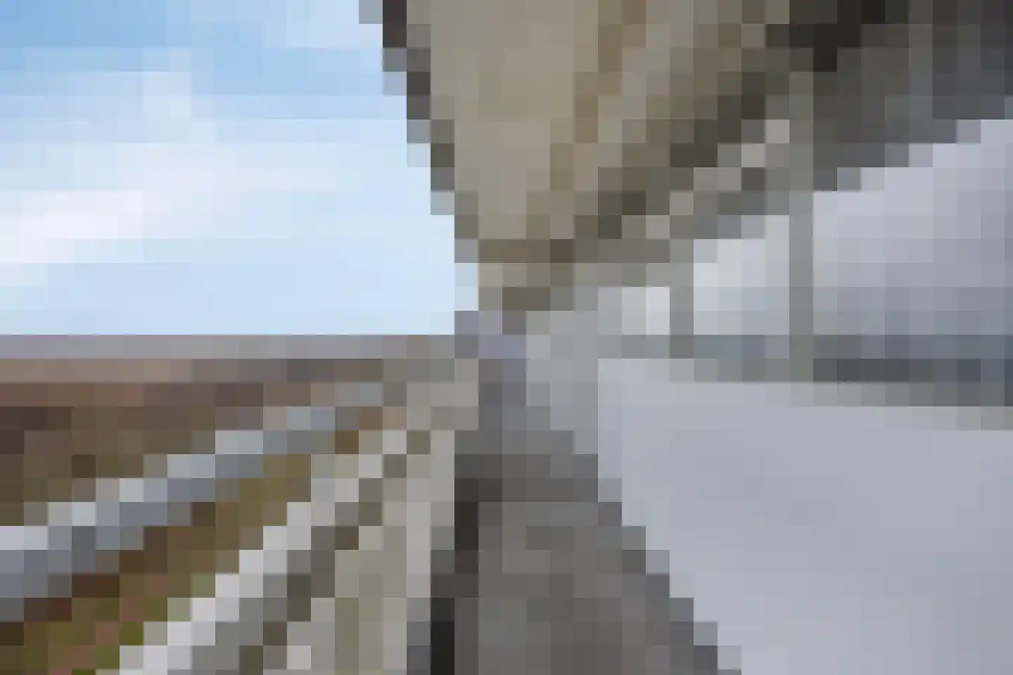 Pharus 302 Zaandam thumbnail 4