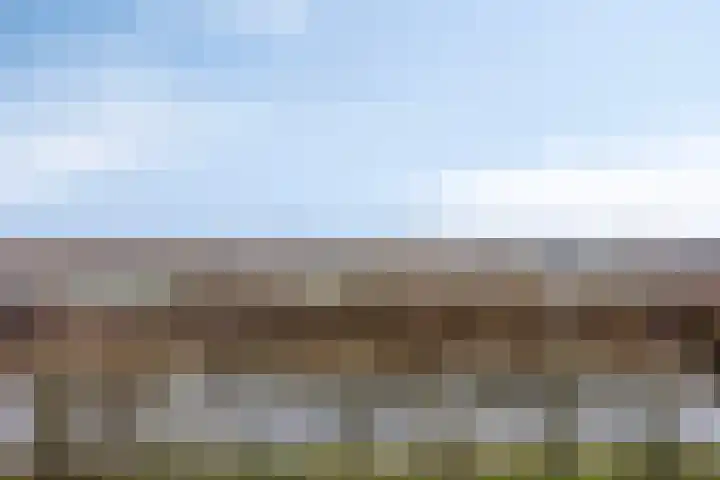 Pharus 302 Zaandam thumbnail 5