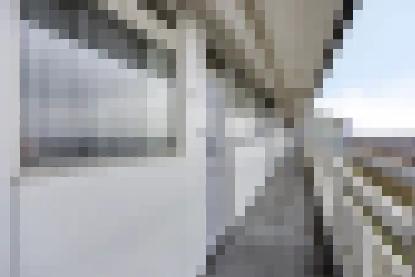 Pharus 302 Zaandam thumbnail 6