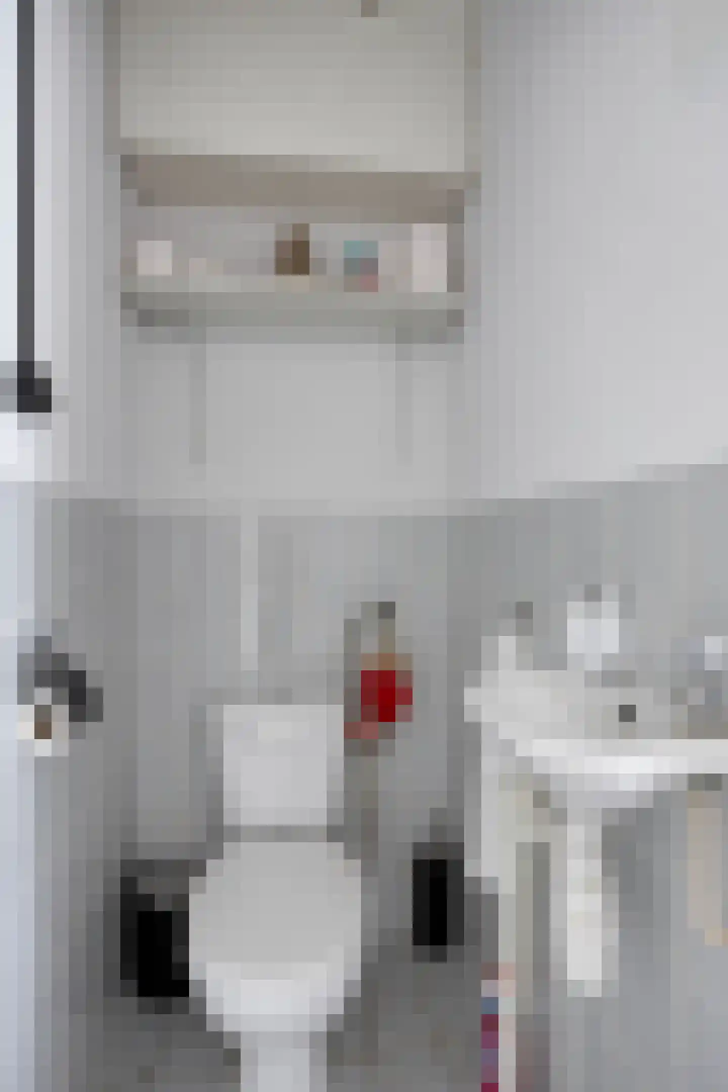 Pharus 302 Zaandam thumbnail 8