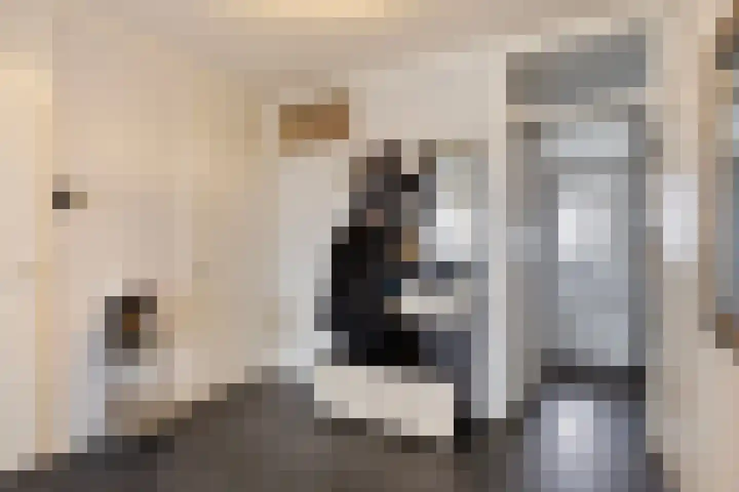 Pharus 302 Zaandam thumbnail 9