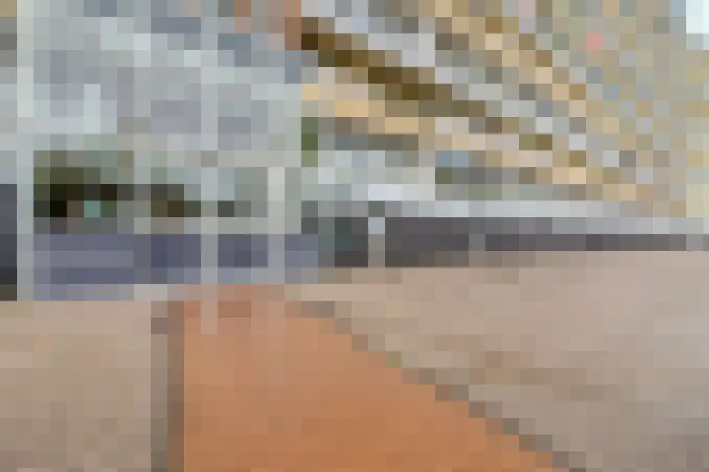 Pharus 342 Zaandam thumbnail 4