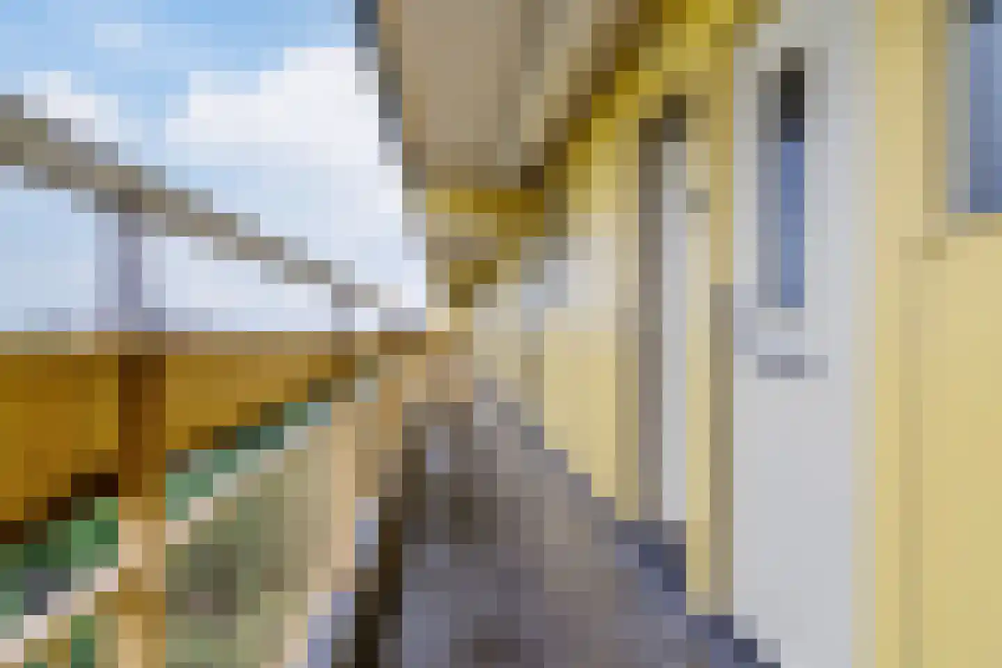 Pharus 342 Zaandam thumbnail 6