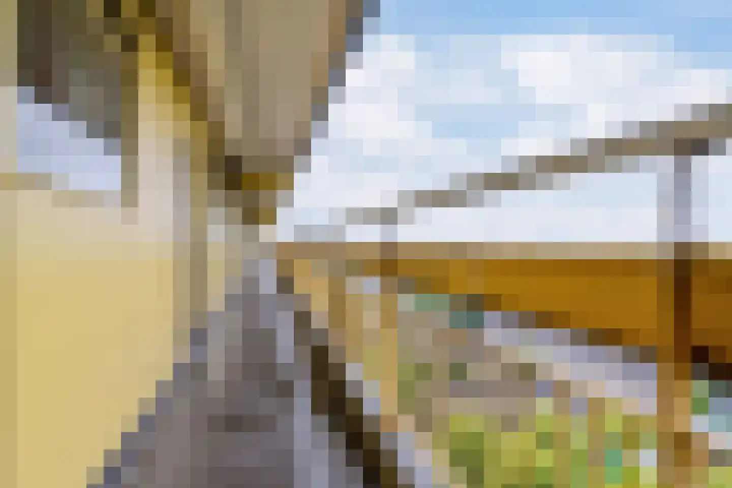 Pharus 342 Zaandam thumbnail 7