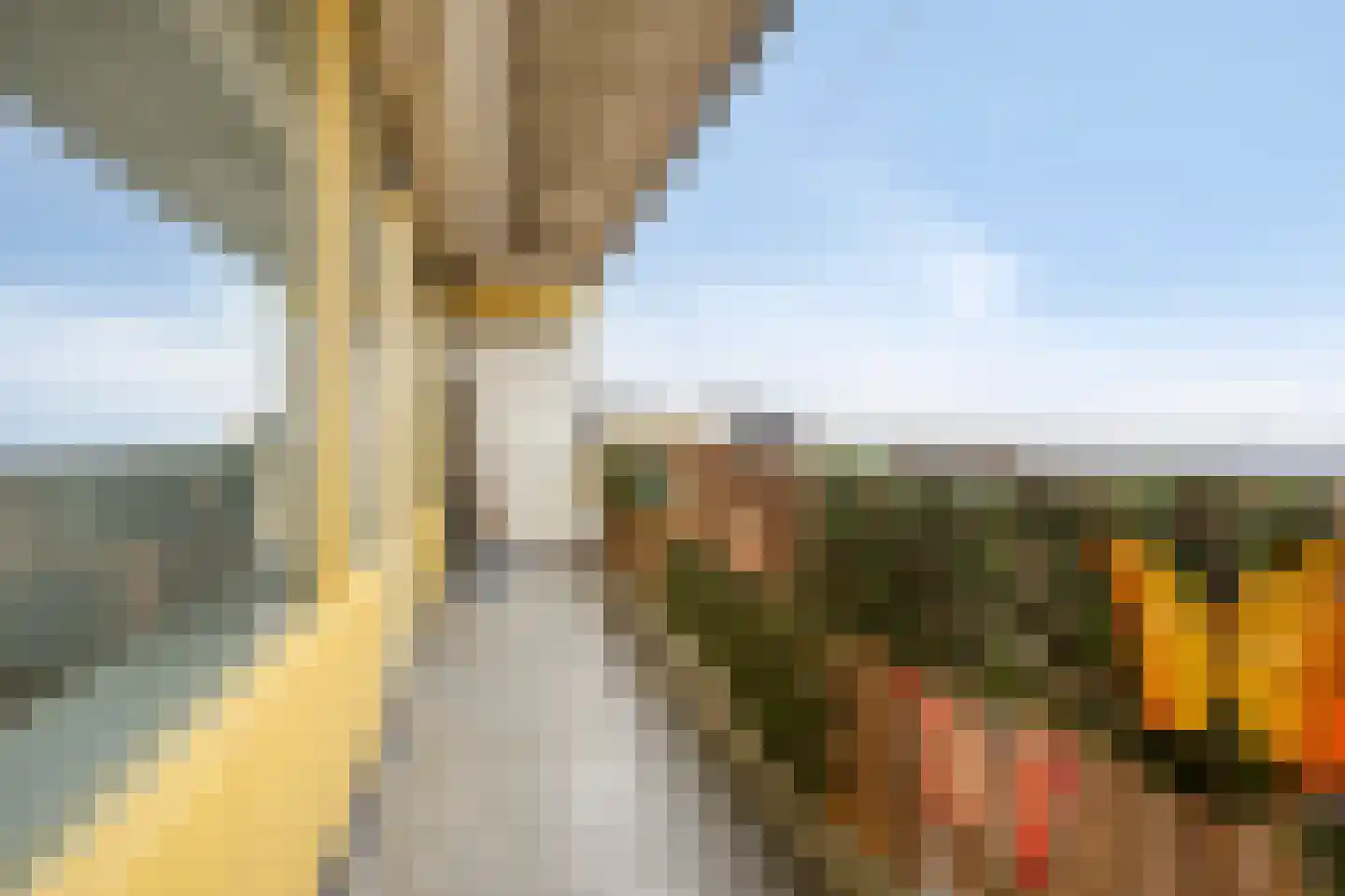 Pharus 355 Zaandam thumbnail 27