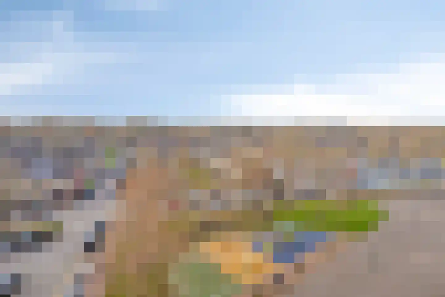 Pharus 355 Zaandam thumbnail 33