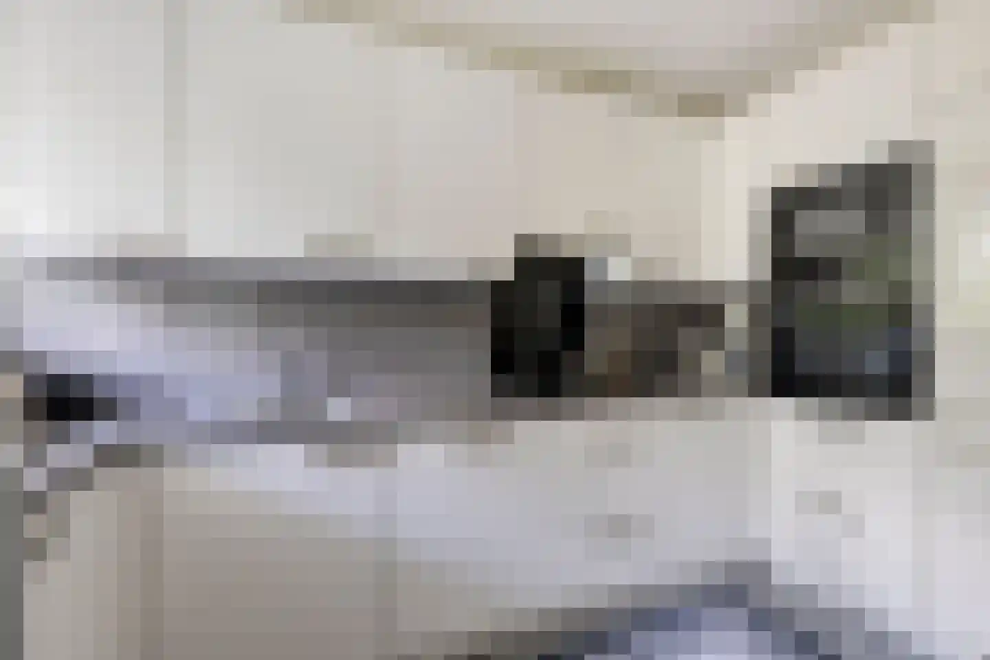 Pharus 41 Zaandam thumbnail 12