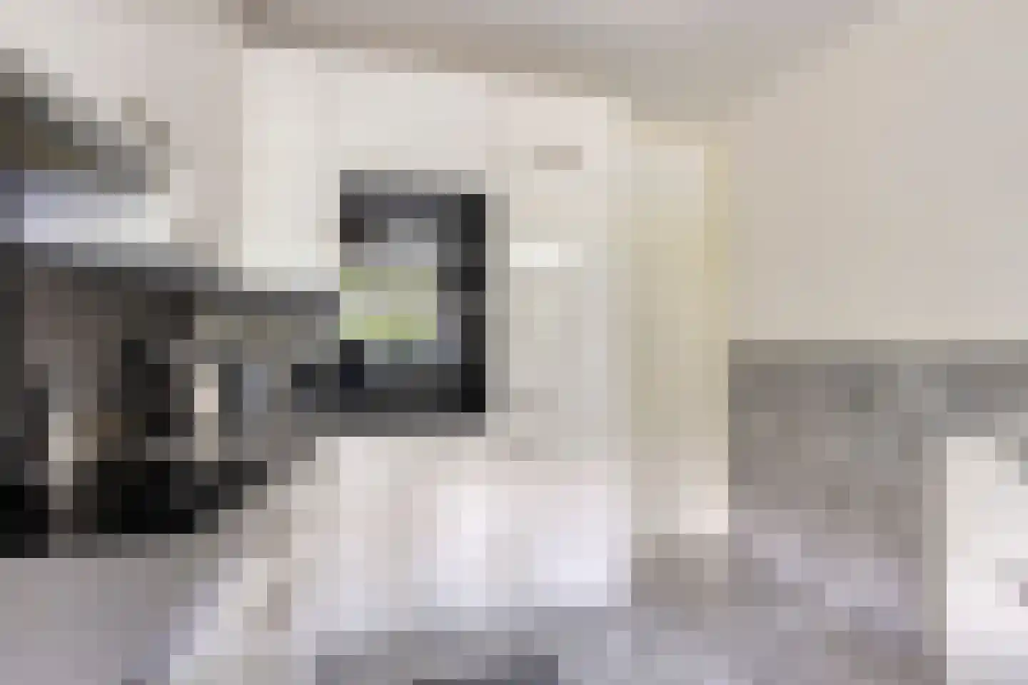 Pharus 41 Zaandam thumbnail 13