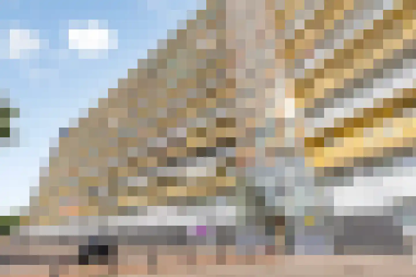 Pharus 41 Zaandam thumbnail 22