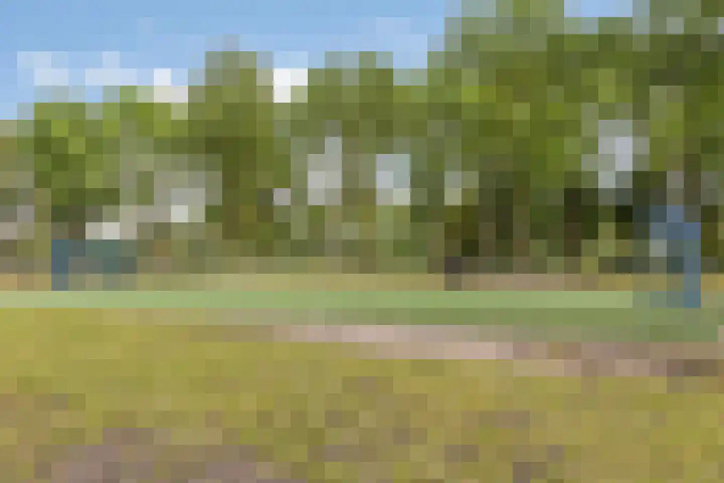 Pharus 41 Zaandam thumbnail 25