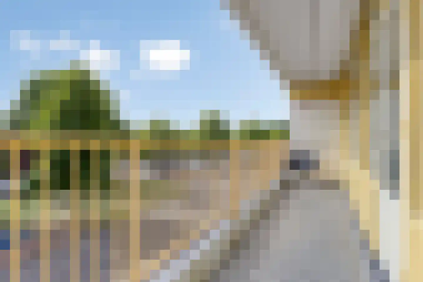 Pharus 41 Zaandam thumbnail 8