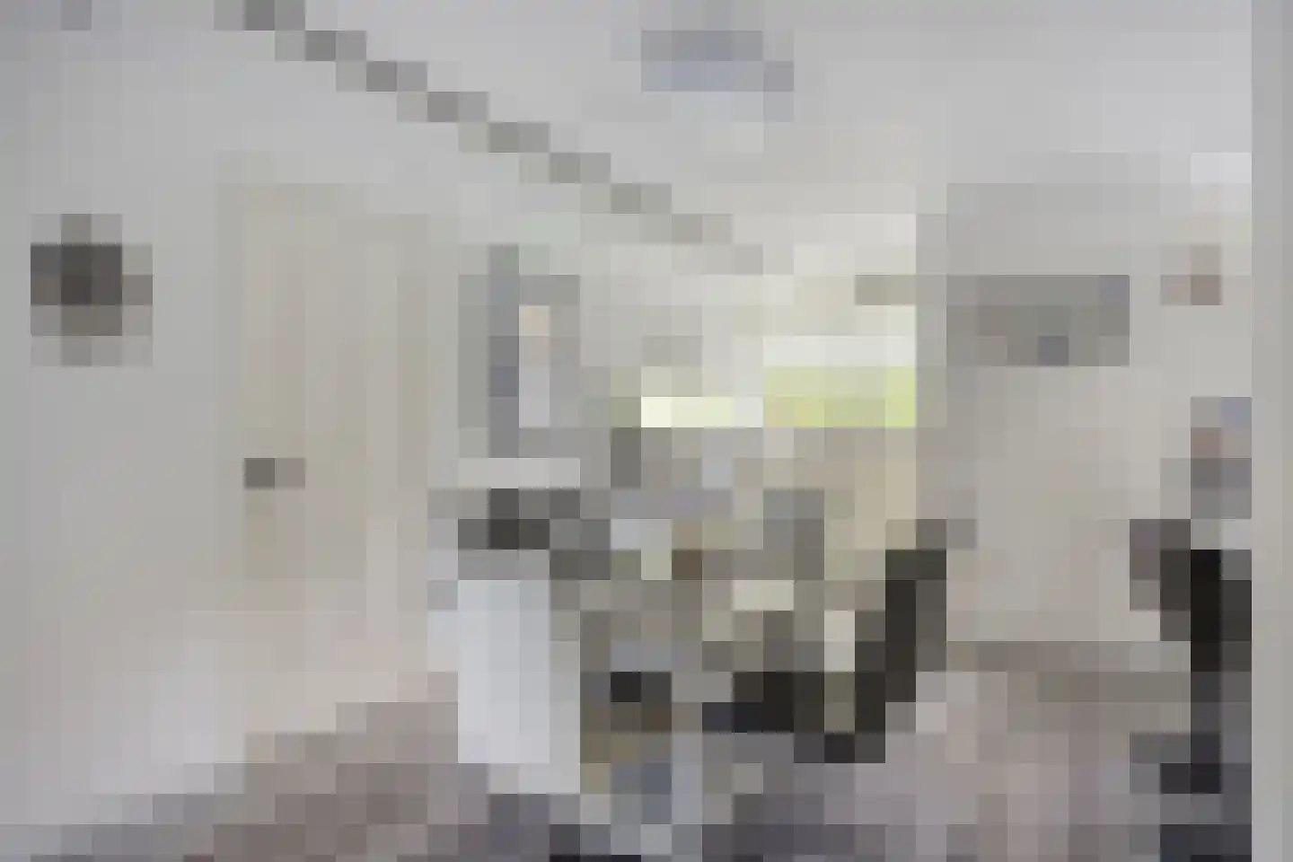 Pharus 45 Zaandam thumbnail 4