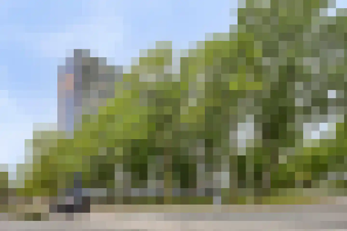 Pharus 45 Zaandam thumbnail 6