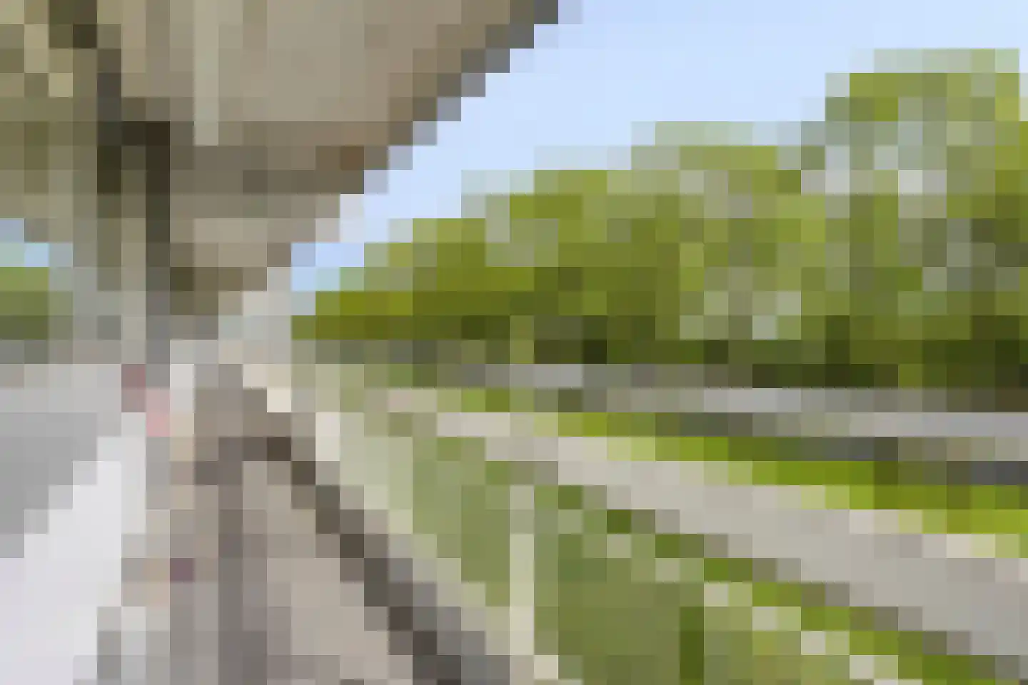 Pharus 45 Zaandam thumbnail 9