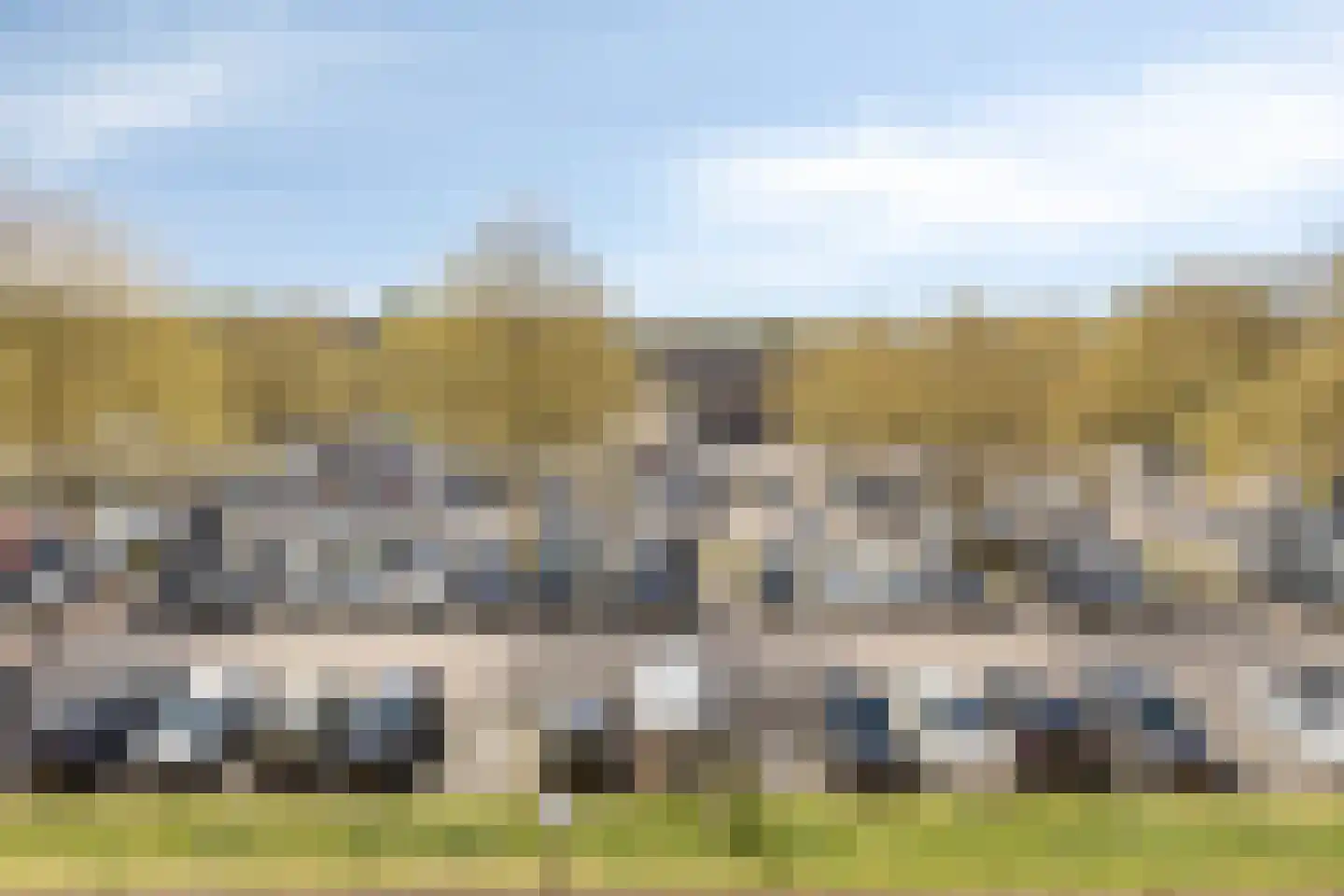 Pharus 73 Zaandam thumbnail 10