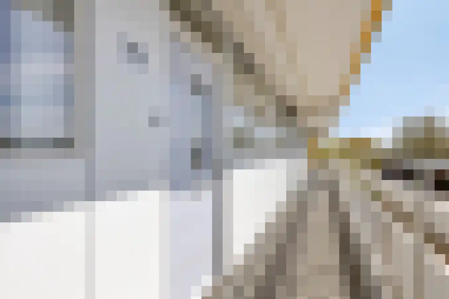 Pharus 73 Zaandam thumbnail 11