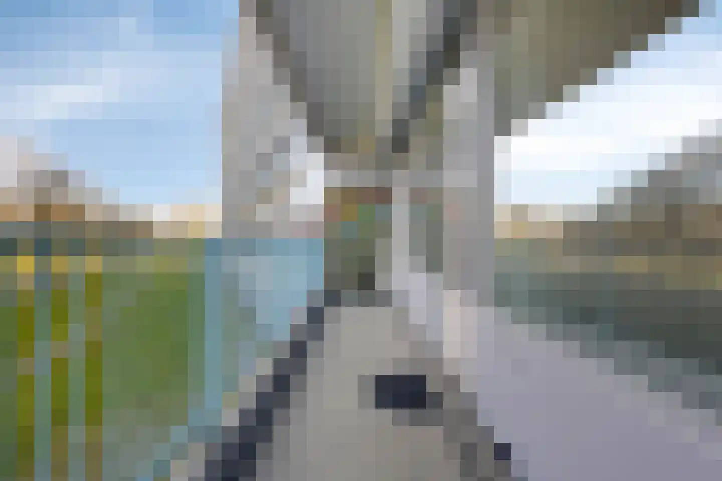 Pharus 73 Zaandam thumbnail 35