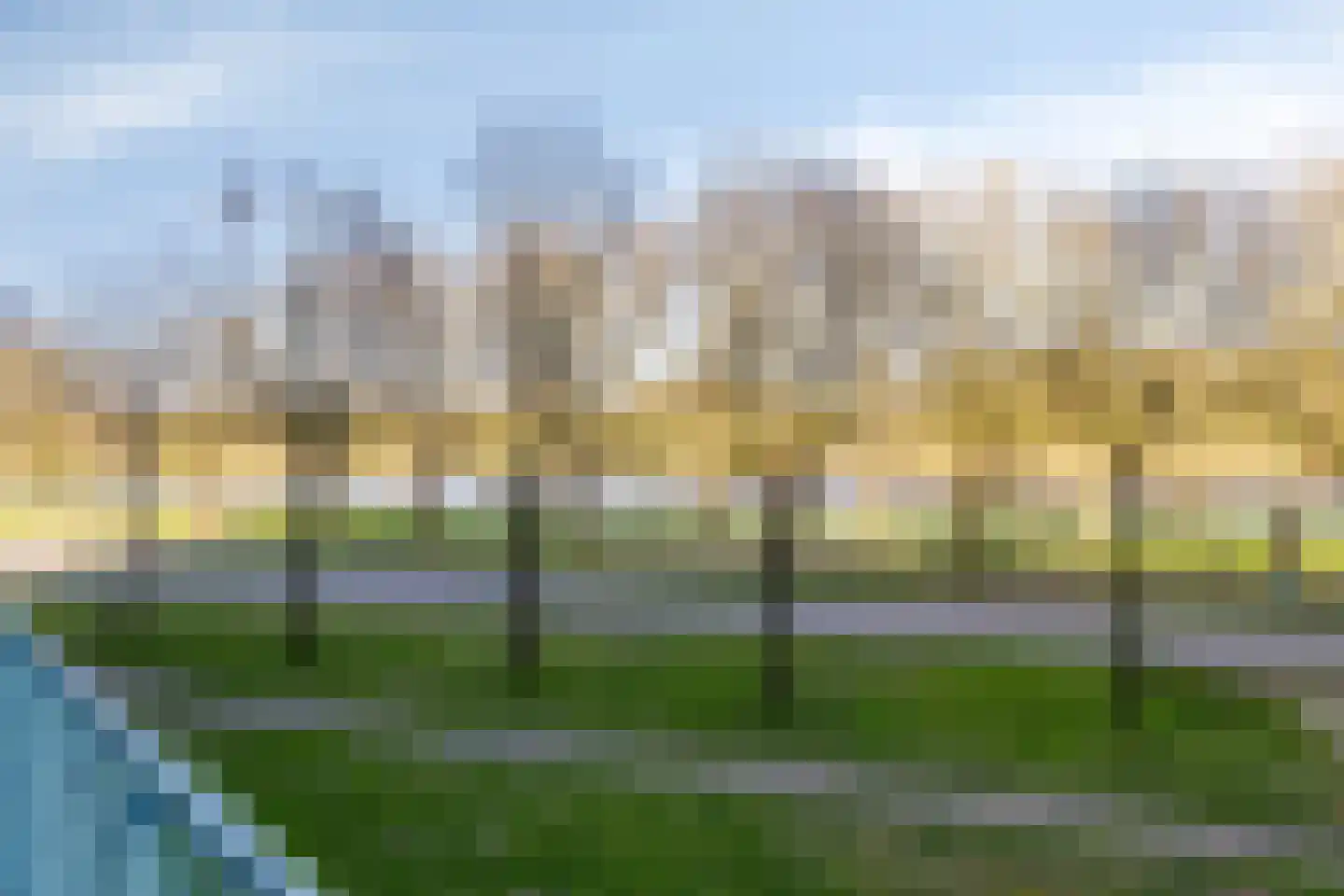 Pharus 73 Zaandam thumbnail 37