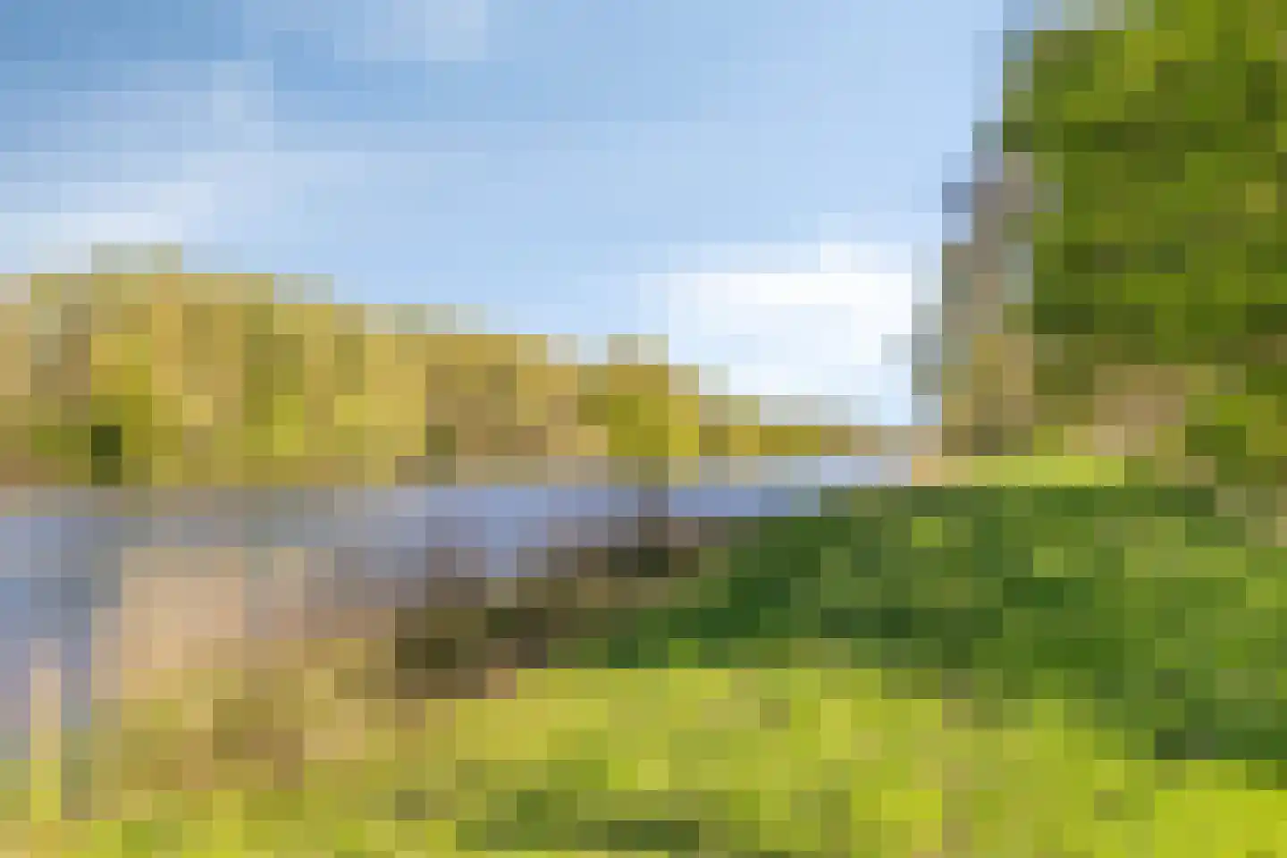 Pharus 73 Zaandam thumbnail 42