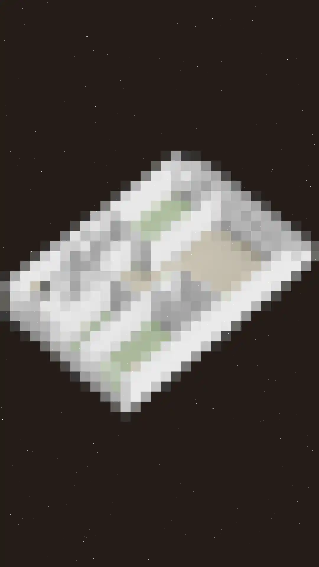 Pharus 73 Zaandam thumbnail 45