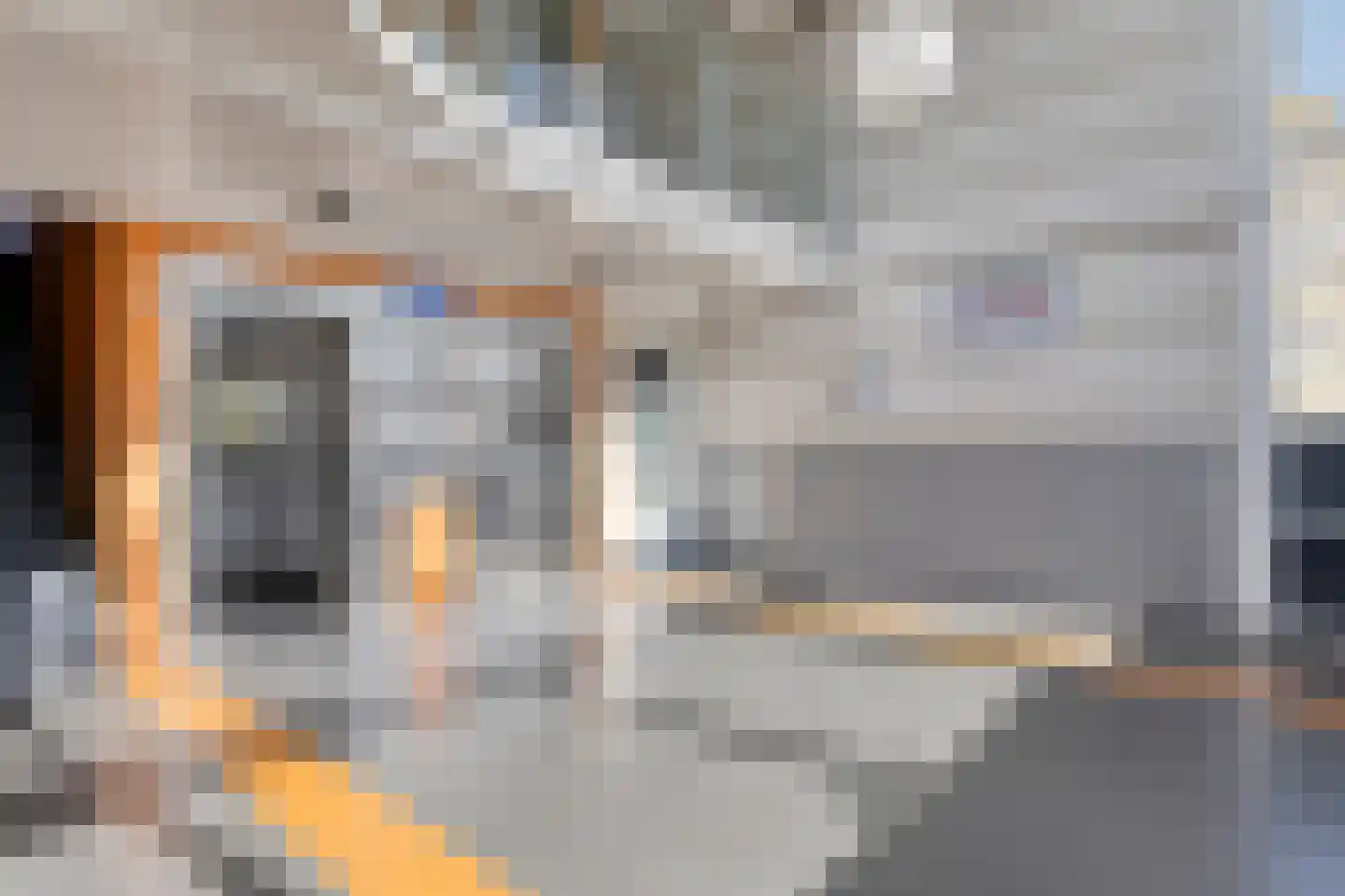 Pharus 73 Zaandam thumbnail 8