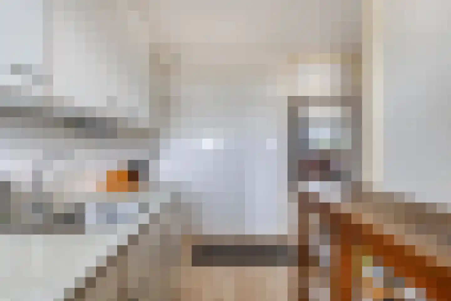 Pharus 84 Zaandam thumbnail 13