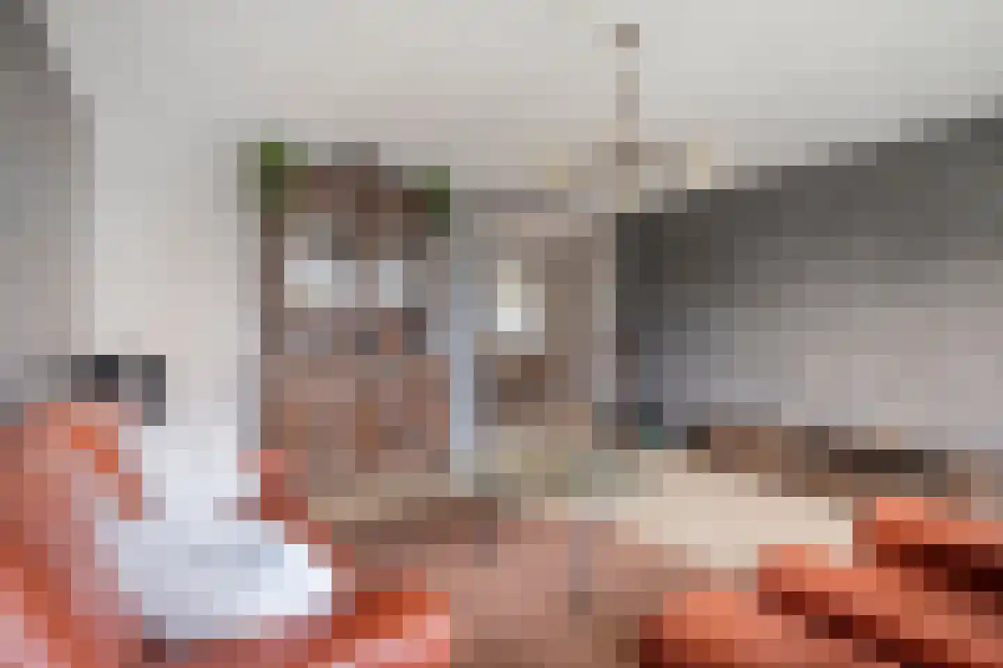 Pharus 84 Zaandam thumbnail 19