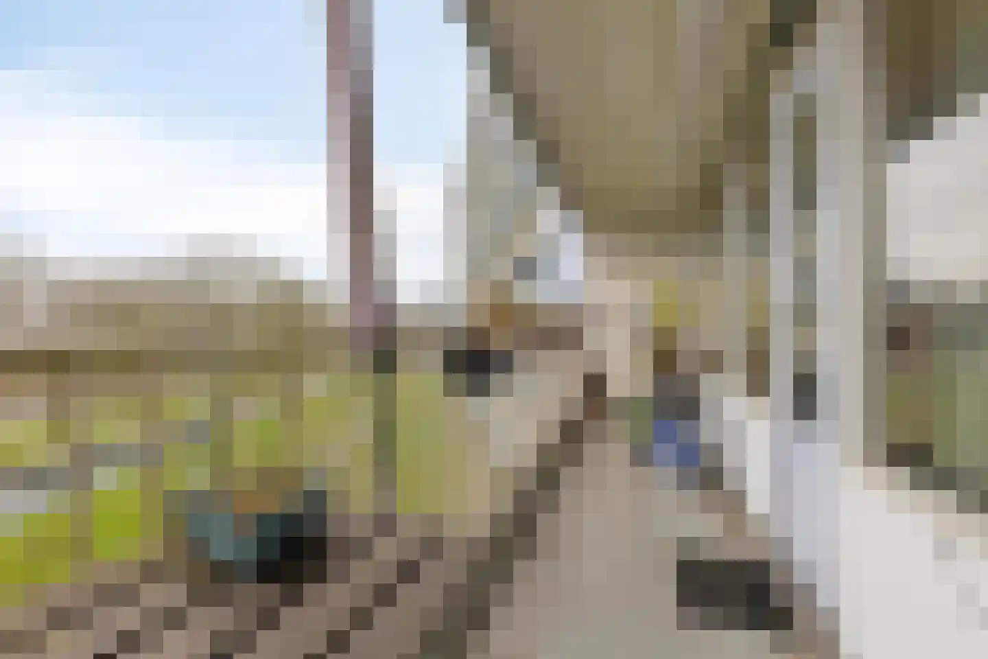Pharus 84 Zaandam thumbnail 30