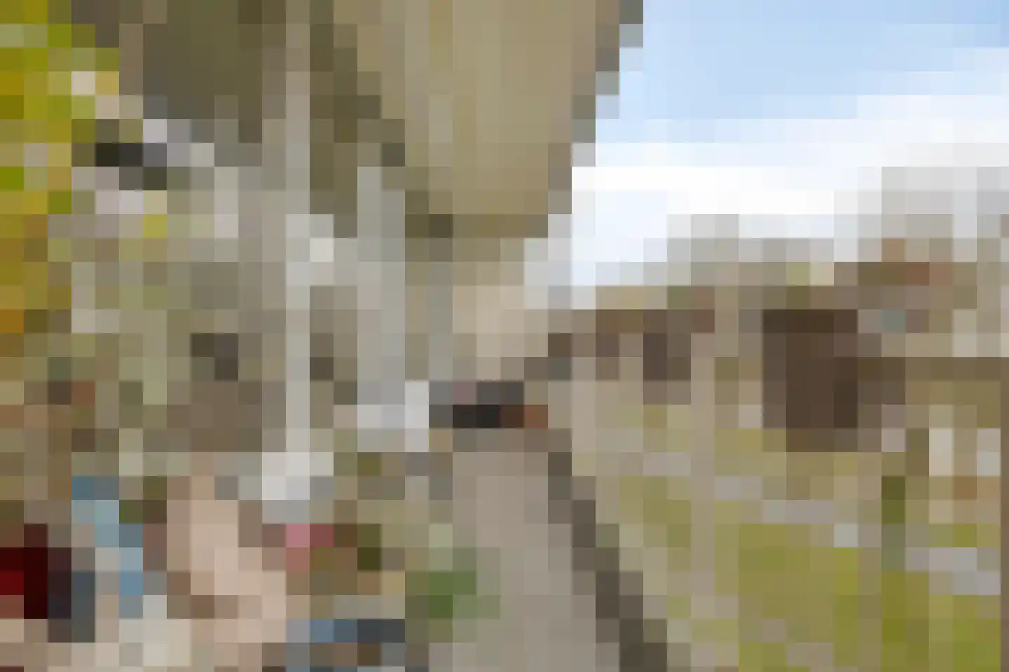 Pharus 84 Zaandam thumbnail 31