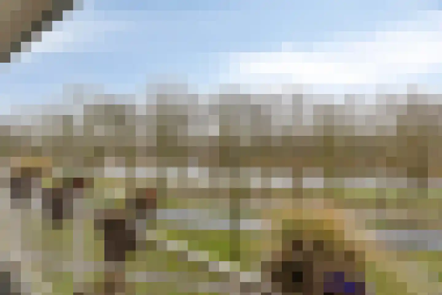 Pharus 84 Zaandam thumbnail 32