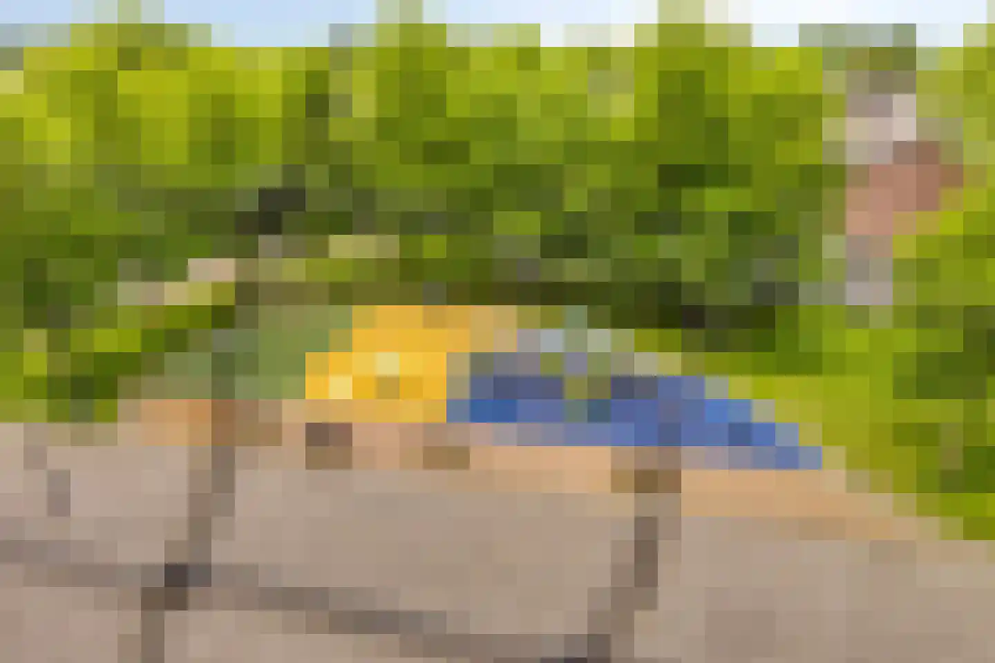 Pharus 93 Zaandam thumbnail 11