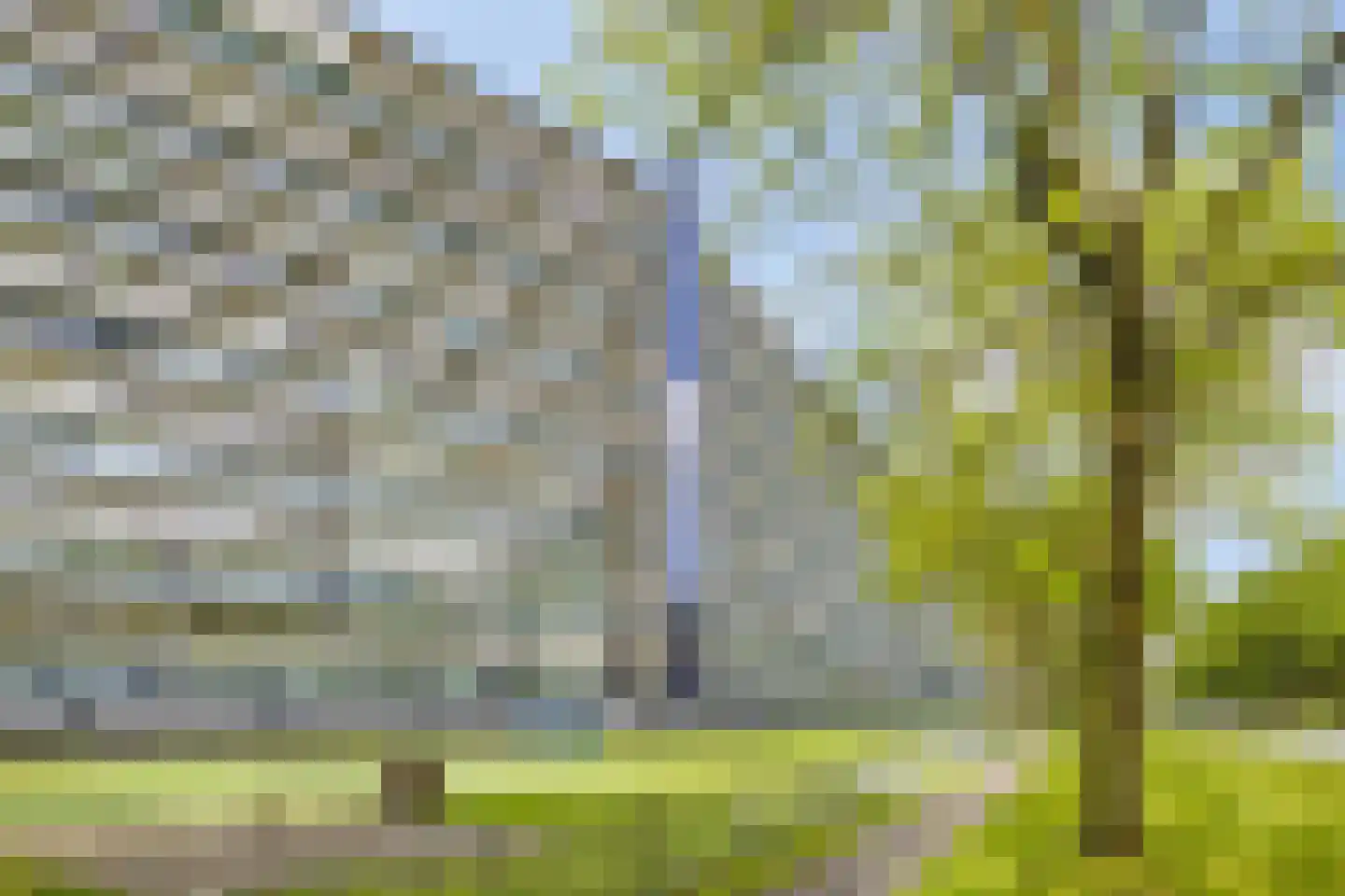 Pharus 93 Zaandam thumbnail 8