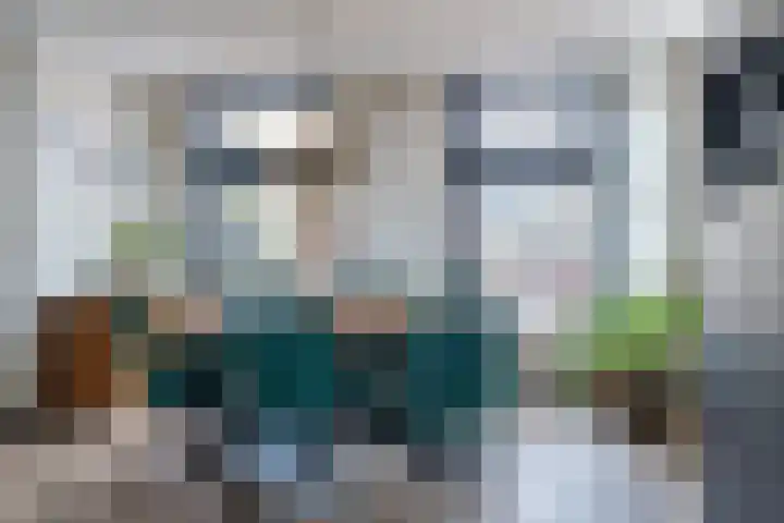 Pheiferbuorren 6 Eanjum thumbnail 14