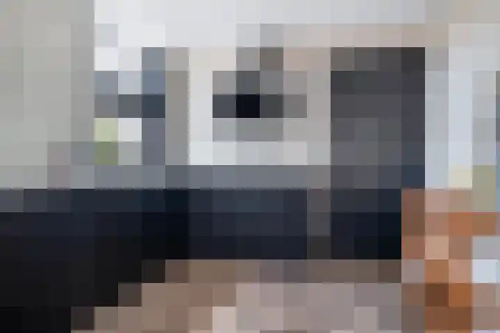 Pheiferbuorren 6 Eanjum thumbnail 16