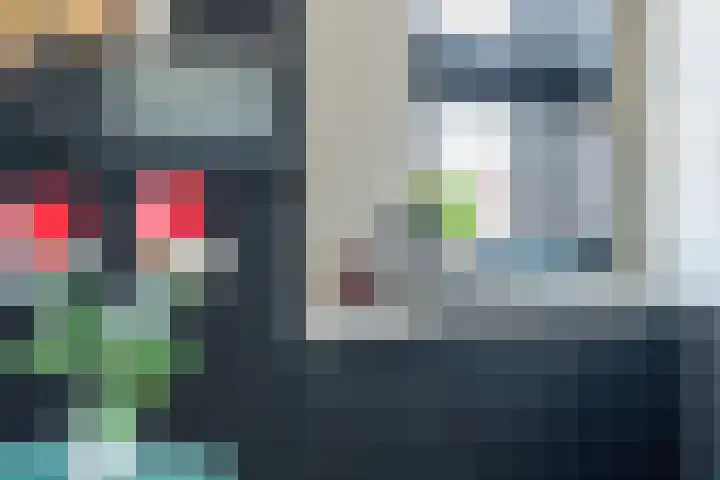 Pheiferbuorren 6 Eanjum thumbnail 17