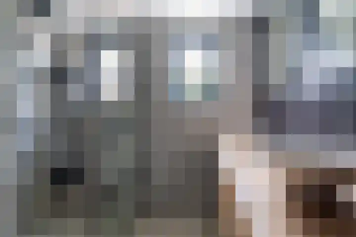 Pheiferbuorren 6 Eanjum thumbnail 20