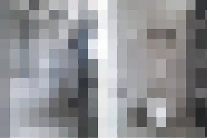 Pheiferbuorren 6 Eanjum thumbnail 22
