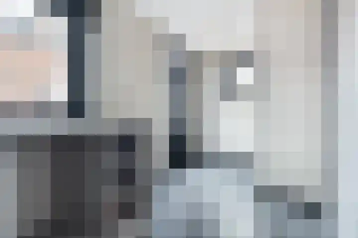 Pheiferbuorren 6 Eanjum thumbnail 24