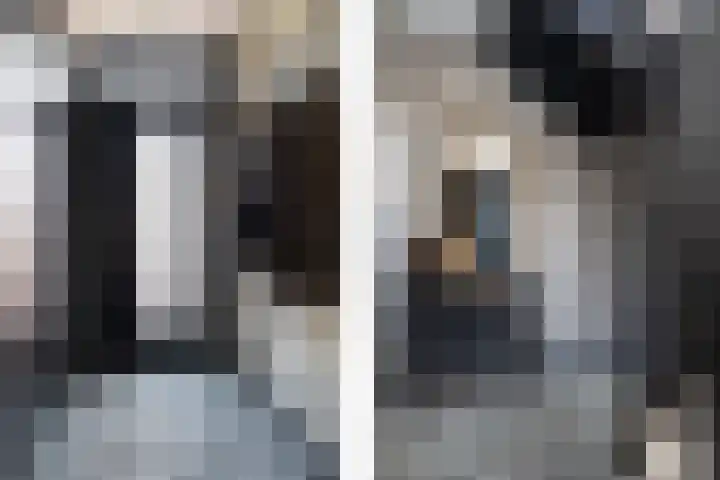 Pheiferbuorren 6 Eanjum thumbnail 26